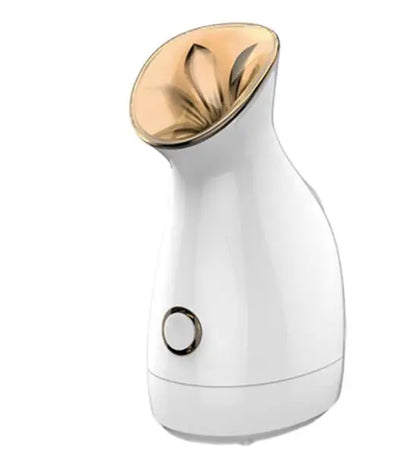 Facial Steamer